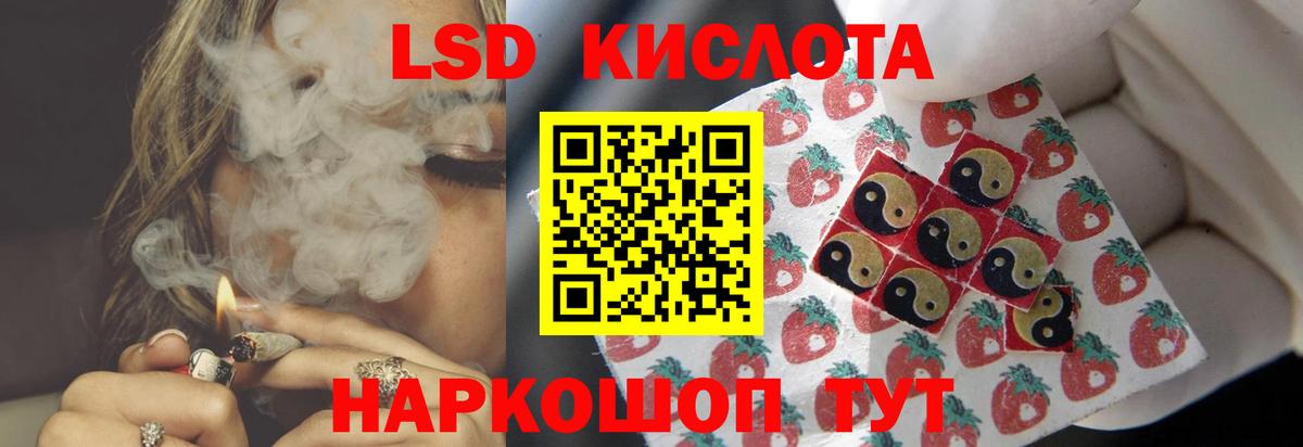 Лесной  Лсд 25 экстази ecstasy  Вход с VPN  Лсд 25 экстази ecstasy 