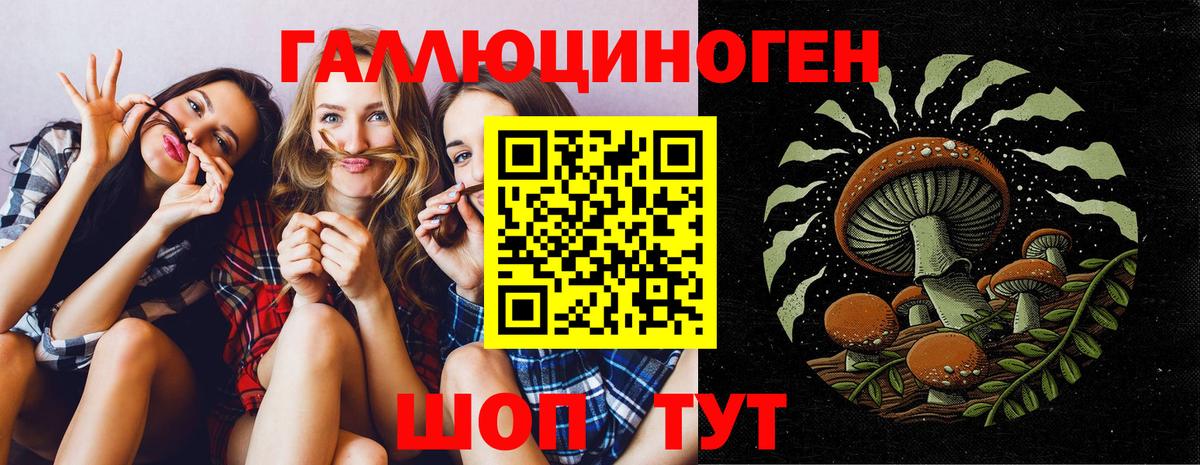 Галлюциногенные грибы ЛСД Лесной