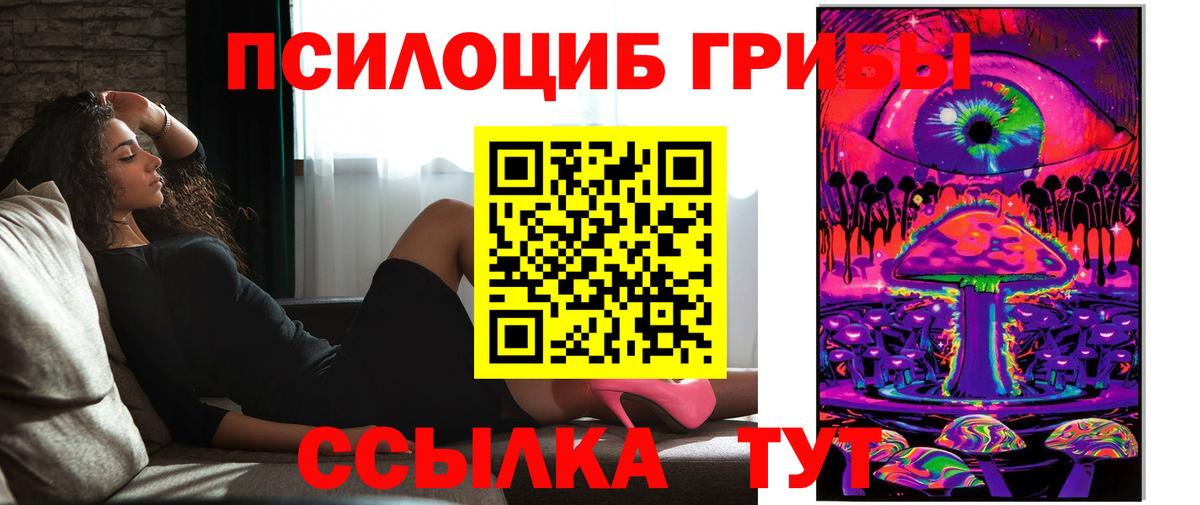 Лесной  Псилоцибиновые грибы Psilocybe  Вход с VPN 